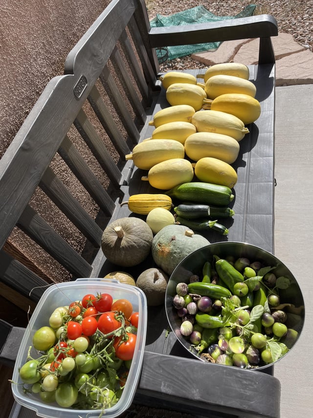 Last harvest before the freeze – Reddit Post