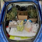 After i started getting into plants my car started looking like this😅 – Reddit Post
