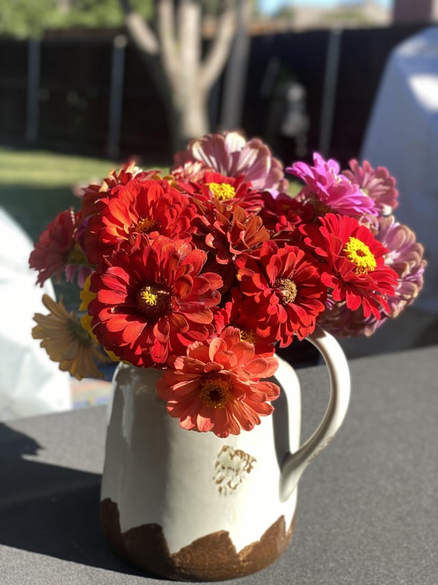 My last bundle of zinnias for the year🌸 – Reddit Post