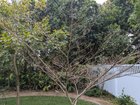 Help! What’s happening to my geometry tree?