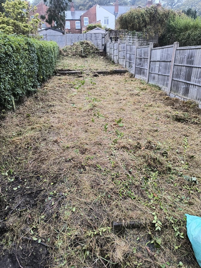 New to this sub and needing guidance please 🥺