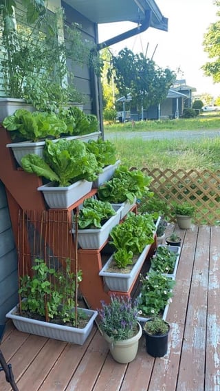 Gardening – Reddit Post