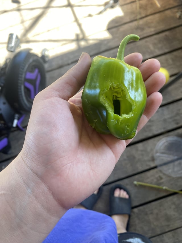 What S.O.B P.O.S did this?😡🤬 – Reddit Post