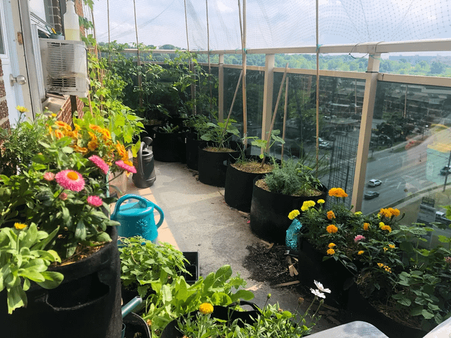 I’m disabled and live in a 12th-floor apartment but I made a garden happen and I love it so much! – Reddit Post