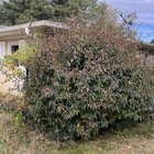 Advice on this monster ? – Reddit Post