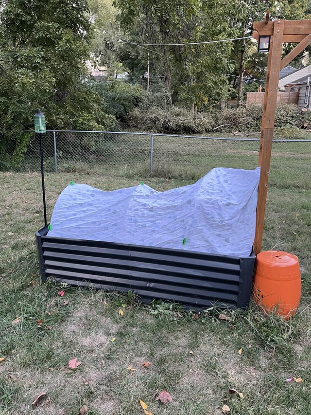 We are getting down to 32 tonight…pray for my tomatoes – Reddit Post