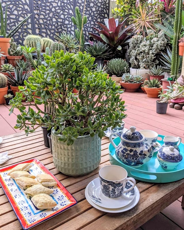 Tea in the garden – Reddit Post