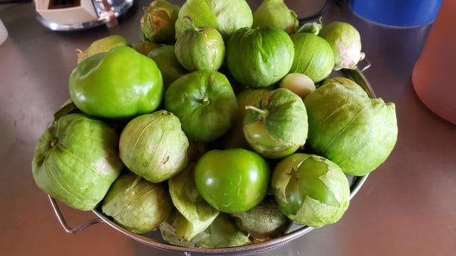 Tomatillos – Reddit Post