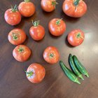 Last harvest of the season, boo cold weather – Reddit Post