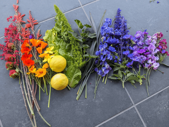 My niece loves rainbows and I love gardening (and rainbows) – Reddit Post