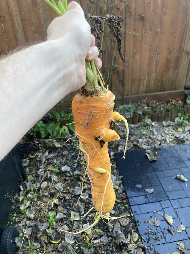 Did I Carrot? – Reddit Post