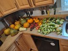 Early Harvest – Reddit Post