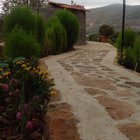 Garden entrance – Reddit Post