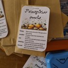 Pumpkin seeds for Halloween?
