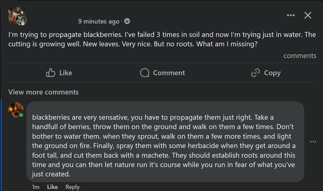 Growing blackberries… – Reddit Post