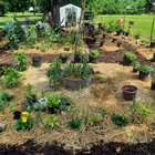 With fall approaching, when you turn the garden into that empty wastland stage. it’s always good to look back if possible on your season. – Reddit Post