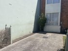 Ideas for shallow garden beds