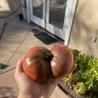 First Success! Hell yeah! – Reddit Post