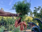 So many things to be grateful for – Reddit Post