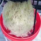 Roots are healthy😁