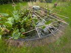 Removing duckweed from pond