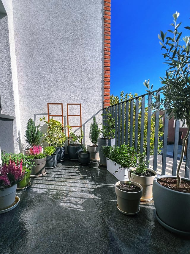 I’ll have to say goodbye to my balcony garden soon… I’m in zone 7a, and winter is coming – Reddit Post