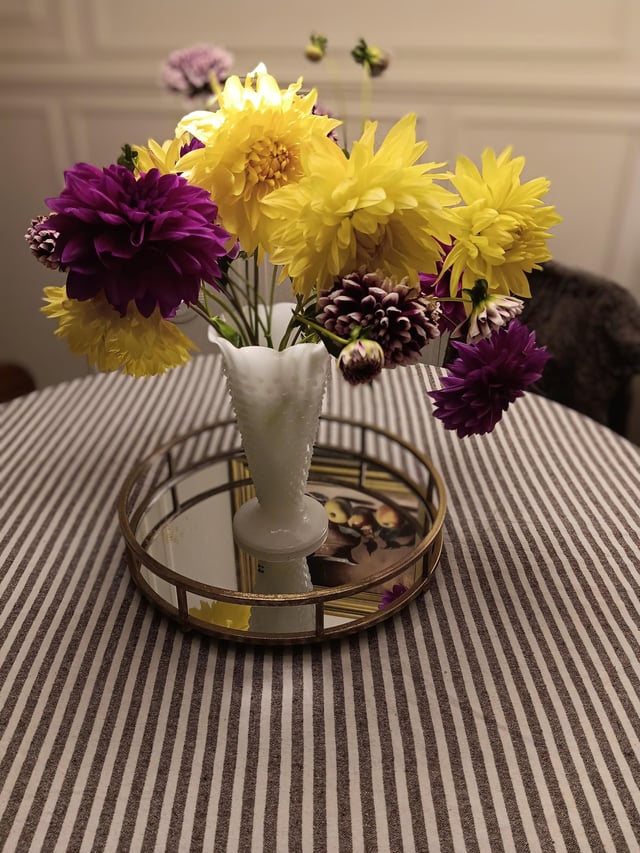 Mid October Dalias from our garden – Reddit Post