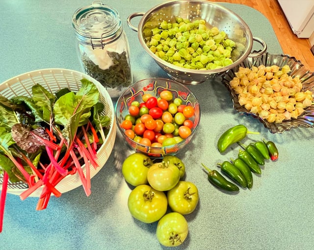 Last harvest of the season! – Reddit Post