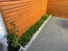 did i just create a weed garden? – Reddit Post