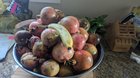 Follow up to Pomegranate in MD – Reddit Post
