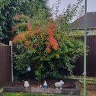 Help please – Reddit Post