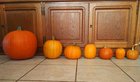 Here’s the pumpkin lineup of 2024. Ready to decorate and bake. I’m quite proud of myself actually! – Reddit Post