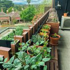 Made every mistake you can make with balcony gardening but still love the view ✌️ – Reddit Post