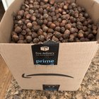 Anyone else dealing with an abundance of acorns during this “mast” year? – Reddit Post