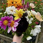 My cut flower garden blooms – Reddit Post