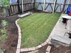 Just laid new turf, is some yellowing normal after five days?