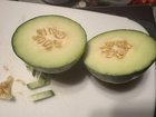 What in the world is this? – Reddit Post