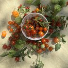 I did NOT deserve this after neglecting the garden. Plus the bonus surprise I found! – Reddit Post