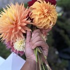 Handful of Blooms – Reddit Post