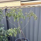 Any help appreciate – Reddit Post