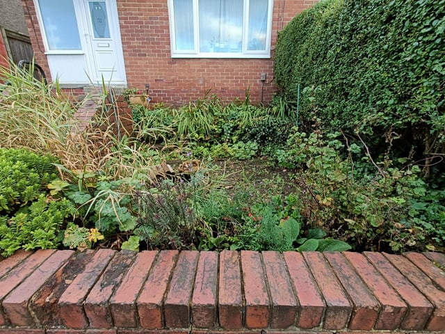 Muddy north facing front garden ideas?