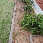 Garden bed advice