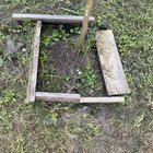 How to make the base of this outdoor lemon plant look better? Pebbles/mulch? Any ideas?