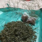My yield from one catnip plant. I’ve been trimming from it all summer, this is just what I ended up with. – Reddit Post