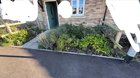Garden ideas