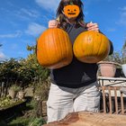 Squash harvest day!! – Reddit Post