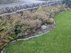 How should I trim this border back?