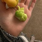 My bell pepper had a peppery fetus inside – Reddit Post