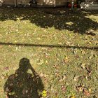 Garden was destroyed so we’re starting new. – Reddit Post