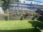 Half my garden struggling